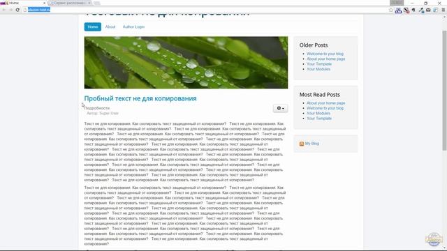 Как скопировать защищенный текст с сайта смотреть онлайн