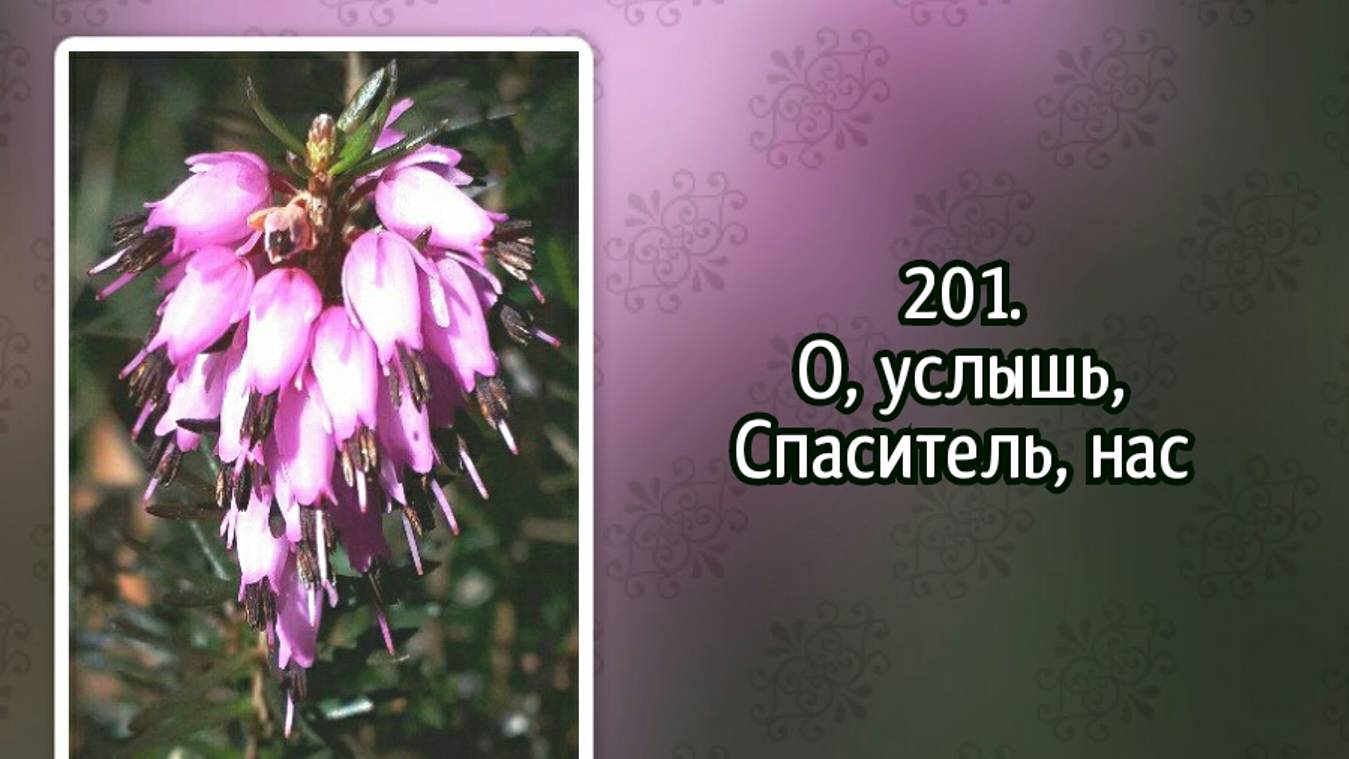 Гимны надежды 201 О, услышь, Спаситель, нас (-) смотреть онлайн