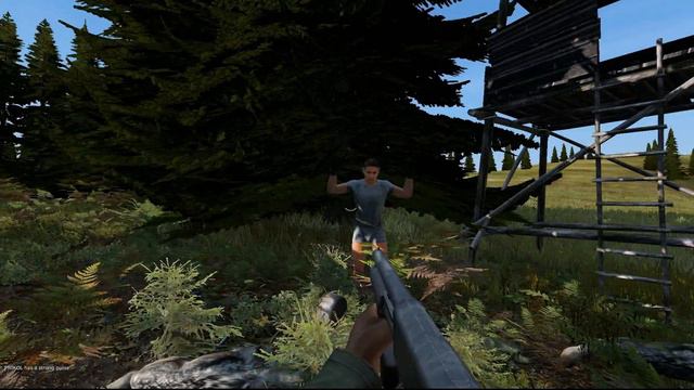 У Камина #21. Долгая погоня и короткая встреча. Dayz standalone. смотреть онлайн