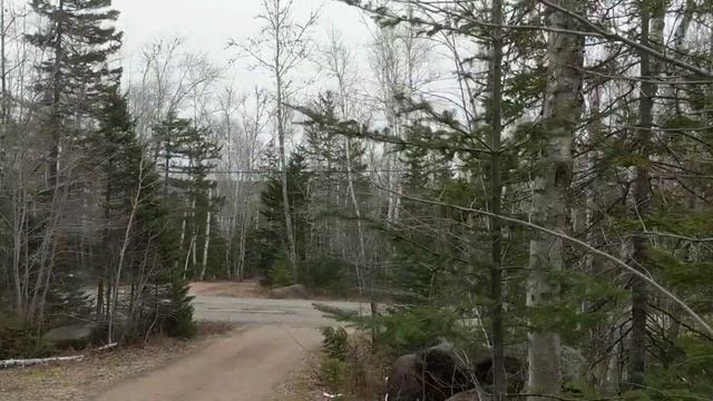 Дома в Канадской деревне - в лесу, у озера смотреть онлайн