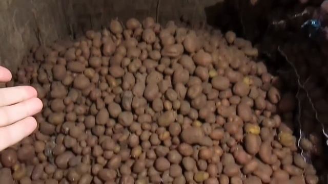 Деревенский погреб - как он устроен смотреть онлайн