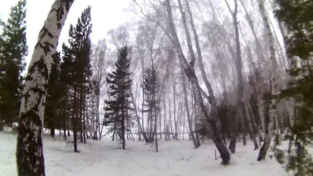 Охота на Зайца зимой 2016-2017 смотреть онлайн