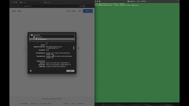 SSL/TLS Certificate Overview смотреть онлайн