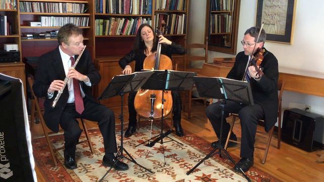 Flute, Violin And Cello 