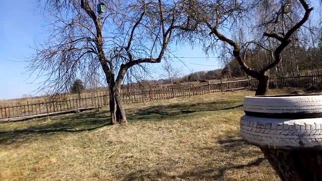 Как живут родители на даче в деревне на пенсии. Белоруссия. Дом. Сад. Огород. смотреть онлайн