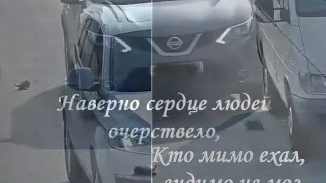 Урокам доброты надо учиться! Автор ролика и слов Дина Ораз. смотреть онлайн