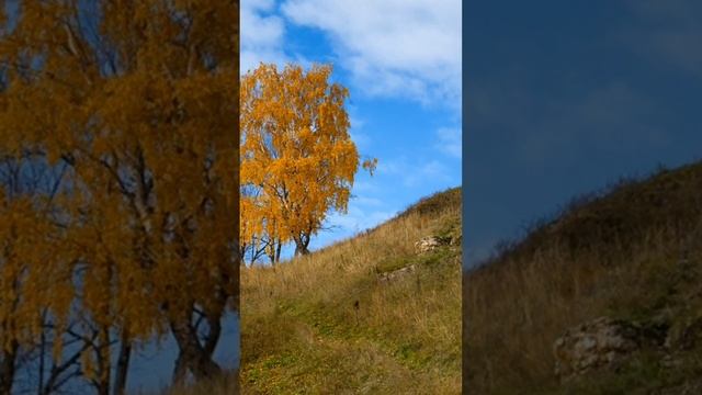 Могутова гора/ Самарская область/ Что посмотреть в Самаре? #самара #samara #жигулевск смотреть онлайн