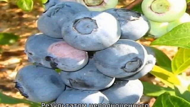 Строительный Хит-Парад