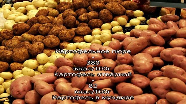 Кулинарное творчество для всех возрастов 