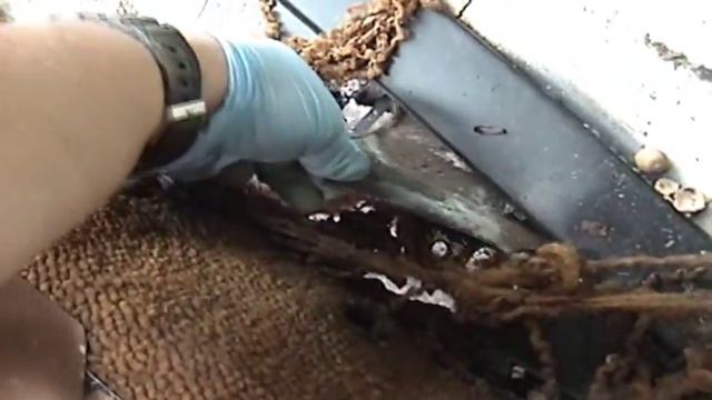 Mercedes-Benz W123 diesel - floor rust смотреть онлайн