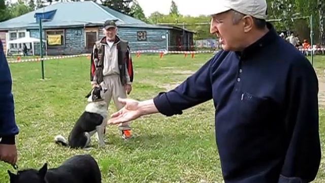 ВСЛ В Омской области