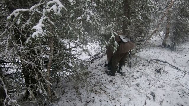 Самый большой глухарь Разбоя.Охота на глухаря с ЗСЛ.Промысел 2020. смотреть онлайн