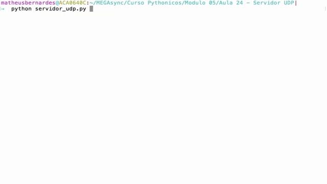 Pythonicos - Aula 24 - Servidor UDP смотреть онлайн