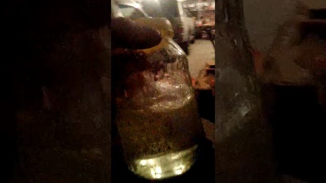 Проверка летнего диз топлива (солярки) смотреть онлайн