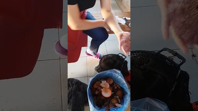 Как правильно чистить морского ежа. смотреть онлайн