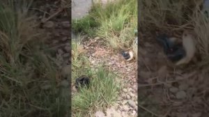 Как девушка соблазнила рыбака
