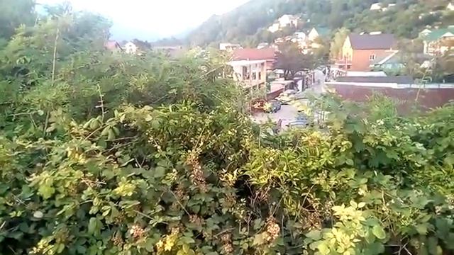 Аше смотреть онлайн