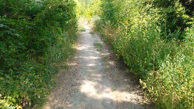 Загородные прогулки Толека.На заброшенный завод!Пролог. смотреть онлайн