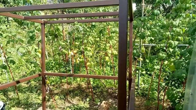 Cтойка подставка для еврокуба под капельный полив часть 1. Полив33.рф