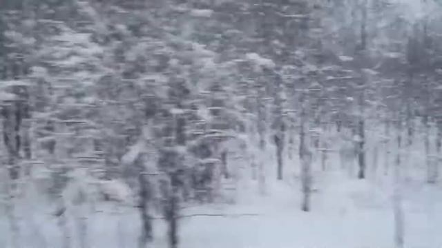 Звук поезда. Стук колес. Зимний лес. Вид из окна поезда. смотреть онлайн