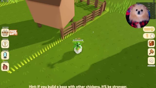 Я СТАЛА КУРОЧКОЙ В РОБЛОКС ! СТРОЮ ДОМ ЧТОБЫ ВЫЖИТЬ И СПАСТИ СВОИХ ДЕТОК В ROBLOX смотреть онлайн