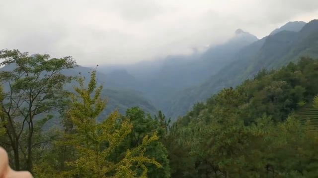 Green Fields & Immortal Footprints (绿野仙踪) - Xiao Series #2