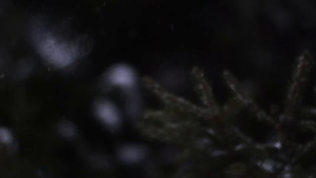 Волшебство там, где тишина смотреть онлайн