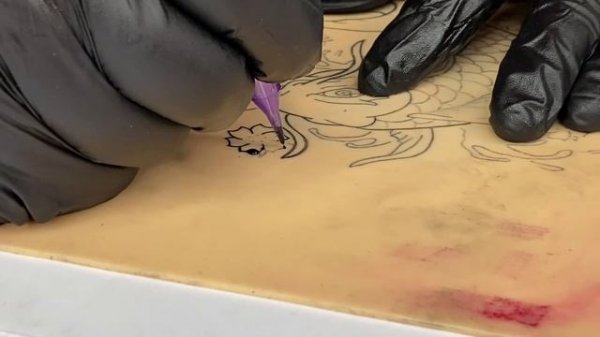 Dragohawk Mast Archer БЕСПРОВОДНОЙ МАСТ ОБЗОР