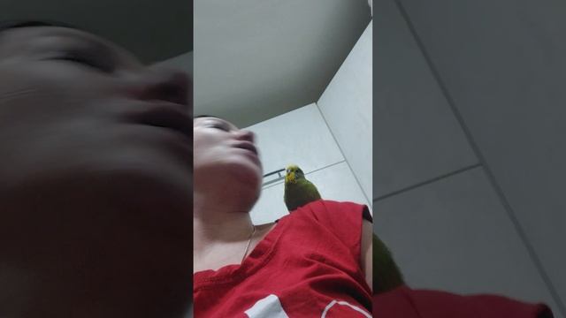 18 октября 2023 г. смотреть онлайн