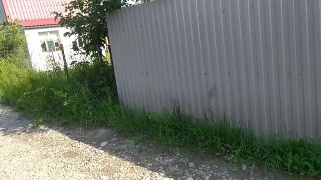 ДачаВодяные пистолетыБассейн