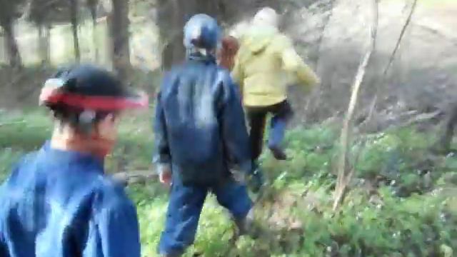 Первоцветы весной смотреть онлайн