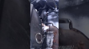 Как заводится тайга 500 в мороз -35