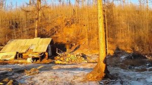 Первая поездка на Орон. Ловля окуня. Рыбалка в Забайкалье.