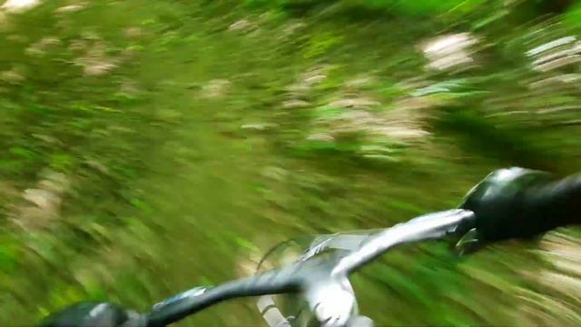 Битцевский парк. Шаолинь.# Trail Shaolin. смотреть онлайн