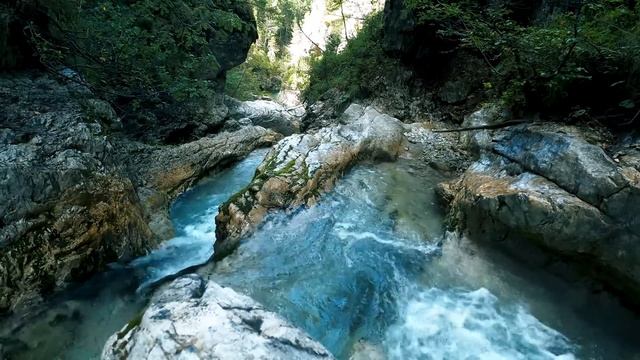 - Внук нам не сказал во сколько праздник, вот мы и не поехали! – нашла оправдание свекровь, чтобы н смотреть онлайн