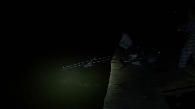 Карповая рыбалка на пруду "Заросший" смотреть онлайн