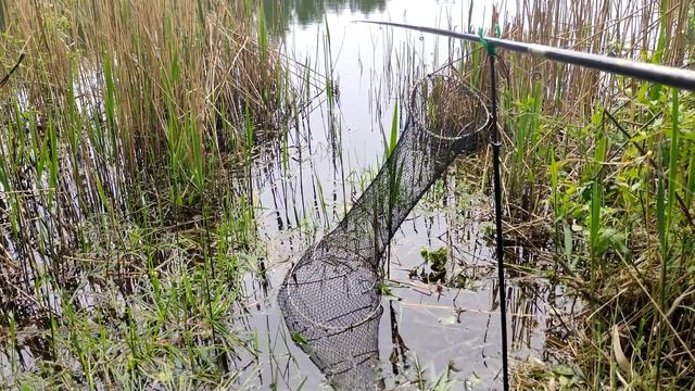 Рыбалка на золотого карася весной в Подмосковье поплавочной удочкой смотреть онлайн