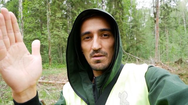 Как валить двойные деревья? How to cut a "twin" trees& смотреть онлайн