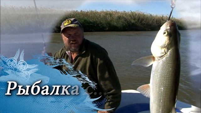 Рыбалка на Онежском озере. Весенний налим. Часть 2 смотреть онлайн