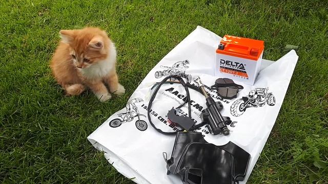 IRBIS TTR 250 R. Восстановление продолжается.Помогает кот Кузя. Мотор больше не стучит. смотреть онлайн