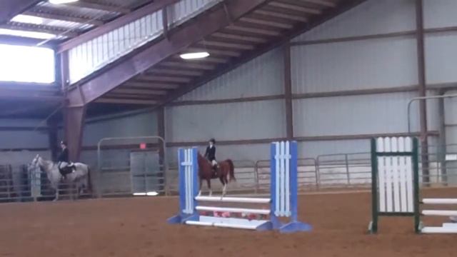 Clea Lerner & Sonny - Novice Flat - George Mason IHSA - October 31, 2015 смотреть онлайн