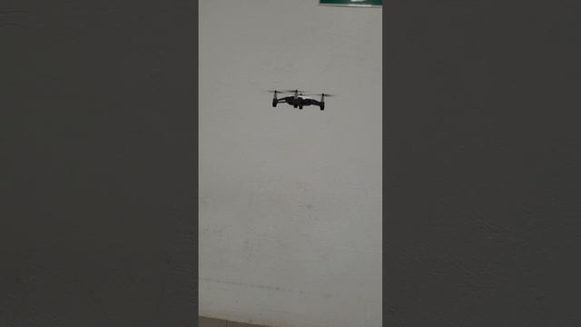 Prueba Dji Ryze Tello смотреть онлайн