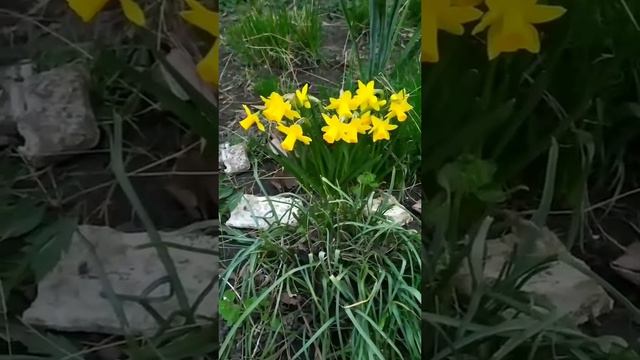 23 марта 2023 г. смотреть онлайн