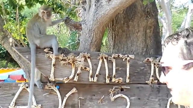 остров Ко Чанг пляж обезьян смотреть онлайн