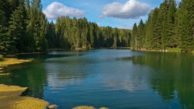 капуста брюссельская смотреть онлайн