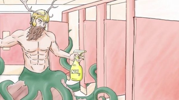 105 — Proteus mirabilis