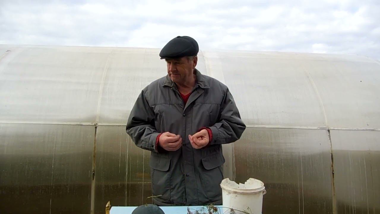 Приманка для куницы. смотреть онлайн