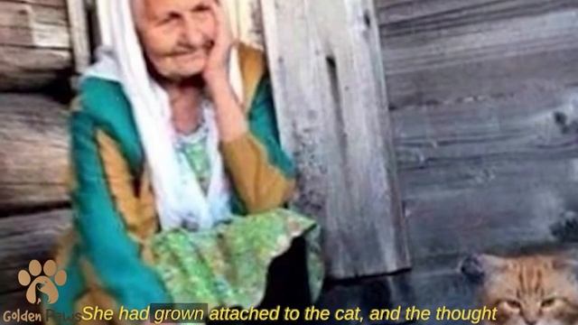 The Grandmother Only Has a Cat, and the Cat Has a Grandmother смотреть онлайн