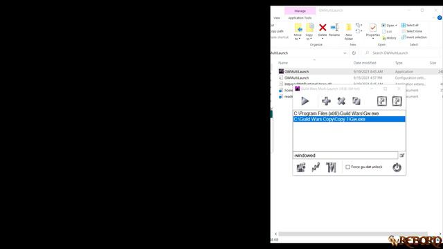 Run 2 or More Guild Wars Accounts [2023 Guide] смотреть онлайн