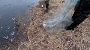 Урок! Как Легко Забросить Кастинговую Сеть! Техника Заброса Накидки-Парашюта!!!